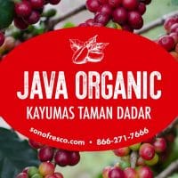 Java Organic Kayumas Taman Dadar
