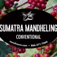 Sumatra Mandheling - Conventional
