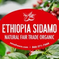 Ethiopian Sidamo Natural FTO