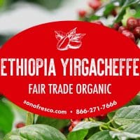Ethiopian FTO Yirgacheffee