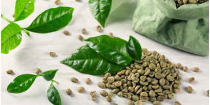 Green coffee beans for sale