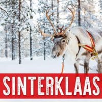Sonofresco™ Sinterklaas Christmas Blend